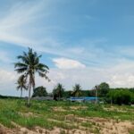 ขายที่ดินนิคมพัฒนาระยอง 6 ไร่