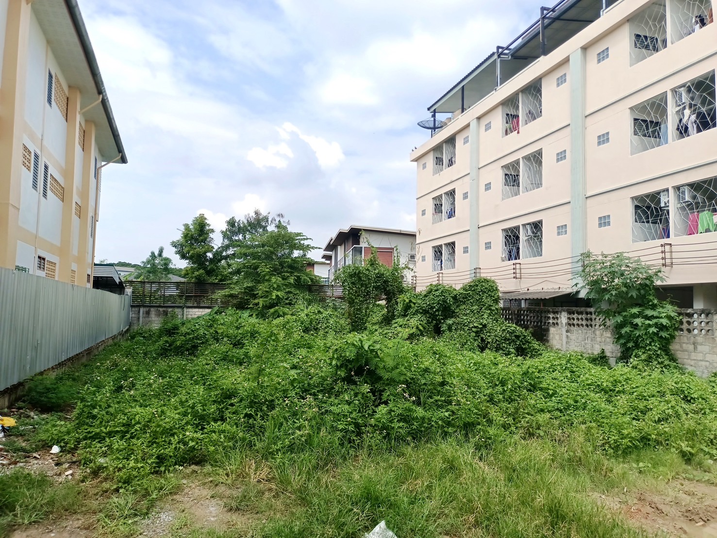 ขายที่ดินสร้างหอพัก ทำเลทอง ซอยชมจันทร์ ป่าแดด อ.เมืองเชียงใหม่