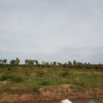 ขายที่ดิน ปากน้ำปราณ 21 ไร่ ใกล้ทำเล ติดถนนใหญ่ ใกล้ทะเล