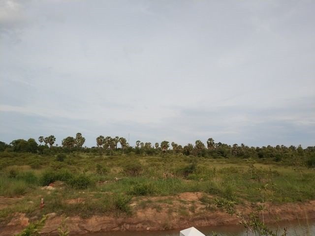 ขายที่ดิน ปากน้ำปราณ 21 ไร่ ใกล้ทำเล ติดถนนใหญ่ ใกล้ทะเล