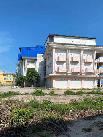 ขายด่วนบ้านนกนางแอ่นมีรังแล้ว ปึกเตียน เพชรบุรี