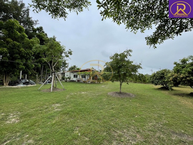 ขายบ้านสวน ส่วนตัว 1-2-33ไร่ ผลไม้ และพืชหลากหลายชนิด เมืองชลบุรี