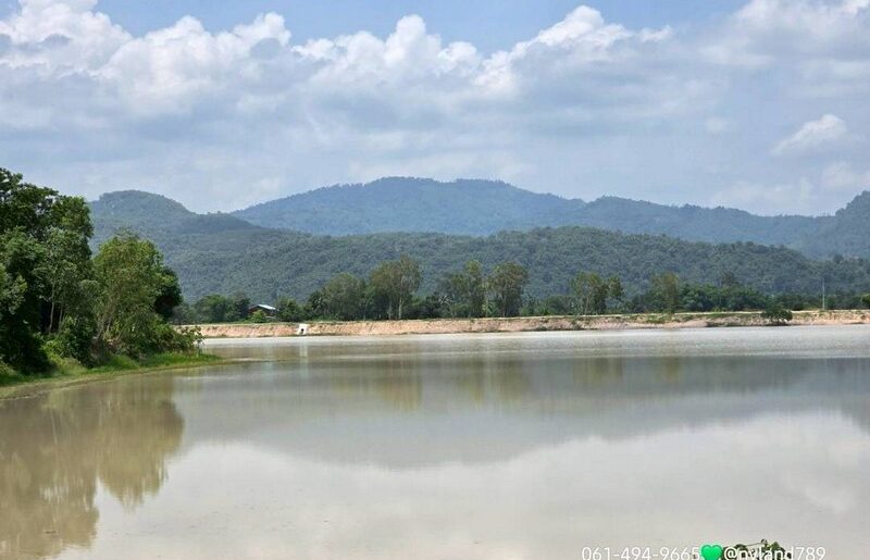 ลดเป็นล้าน สวนป่าริมเลคน้ำขนาดใหญ่ ต.เขาเพิ่ม อ.บ้านนา จ.นครนายก