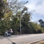 ขายที่ดิน 3-1-20 ไร่ ประโคนชัย บุรีรัมย์ ดินติดชลประทาน