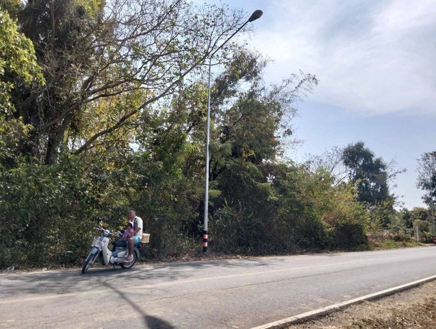 ขายที่ดิน 3-1-20 ไร่ ประโคนชัย บุรีรัมย์ ดินติดชลประทาน