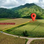 ขายที่ดินทำเลทอง ต.เขาชายธง อ.ตากฟ้า จ.นครสวรรค์