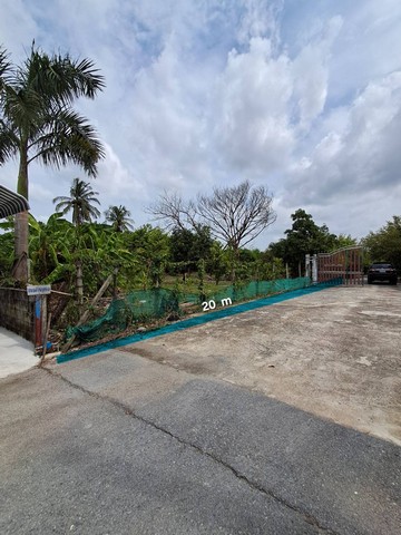 ขายที่ดินภาษีเจริญ พุทธมณฑลสาย3 ที่ดิน 15-0-93 ไร่