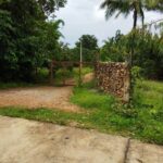 ขายที่ดิน7-1-76ไร่ 2.7ล. ถนนน้ำไฟฟ้า ทาสบเส้า แม่ทา ลำพูน