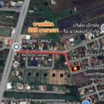 ขายที่ดิน ซอยคุ้มเกล้า 205ตรว. หมู่บ้าน ศุภาลัย เลค2 แปลงมุม