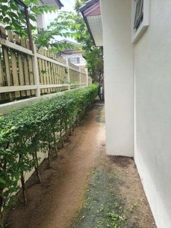 บ้านมือสองศรีราชา ตกแต่งเหมือนใหม่ ราคาพิเศษ หมู่บ้านศรีนครินทร์ใจกลางศรีราชา ใกล้แหล่งท่องเที่ยวพัทยา บ้านเดี่ยวศรีราชาใกล้ห้าง โรงเรียน โรงพยาบาล,