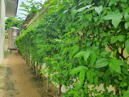 บ้านมือสองศรีราชา ตกแต่งเหมือนใหม่ ราคาพิเศษ หมู่บ้านศรีนครินทร์ใจกลางศรีราชา ใกล้แหล่งท่องเที่ยวพัทยา บ้านเดี่ยวศรีราชาใกล้ห้าง โรงเรียน โรงพยาบาล,