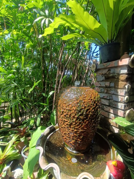 บ้านเดี่ยวมือสองทำเลทอง นาคนิวาส27แยก40 สภาพบ้านดีมาก ลาดพร้าว–นาคนิวาส ทำเลหายาก เข้า–ออกได้หลายทาง