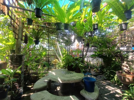 บ้านเดี่ยวมือสองทำเลทอง นาคนิวาส27แยก40 สภาพบ้านดีมาก ลาดพร้าว–นาคนิวาส ทำเลหายาก เข้า–ออกได้หลายทาง