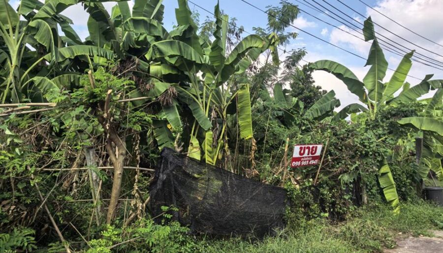 ขายที่ดินเปล่า 70ตรว. คลอง11 หมู่บ้านนริศรา ซ.4 ถูกกว่าราคาประเมิน เจ้าของขายเอง โทร 0969654945