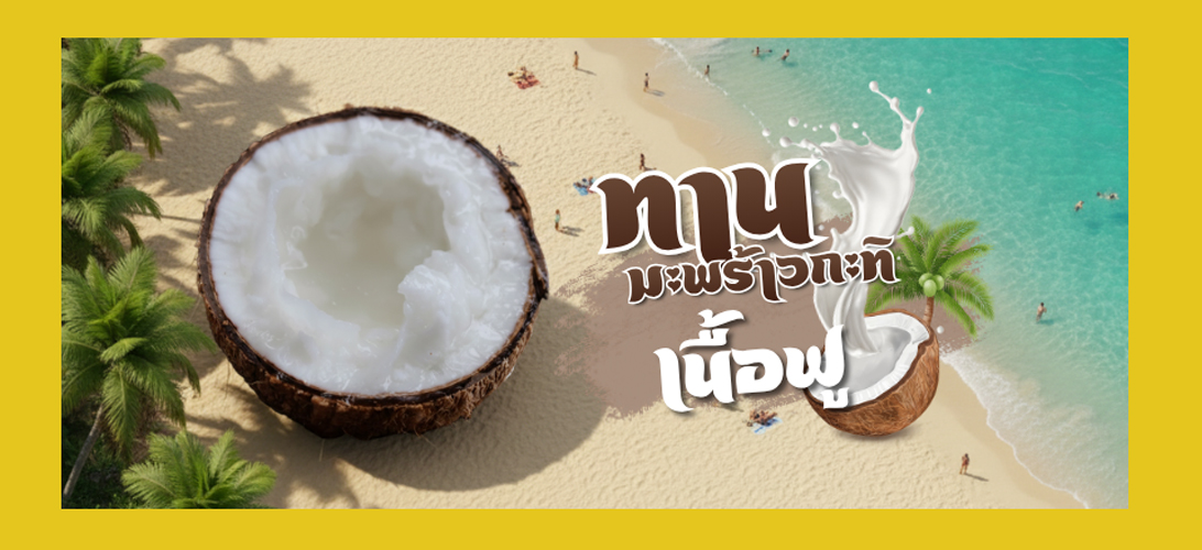 มะพร้าวกะทิทับสะแก เนื้อฟูแท้ จำหน่ายมะพร้าวกะทิแบบลูก ทับสะแก ราคาปลีก ราคาร้านค้า ส่งฟรี (เฉพาะกรุงเทพ-ปริมณฑล)