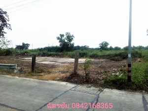 ที่ดิน ขาย ขายถูก เหมาะจัดสรรแบ่งขาย, โครงการเชิงพาณิชย์ เหมาะทำหมู่บ้านจัดสรร ที่ดินธัญบุรีคลอง6,หรือปทุมธานี