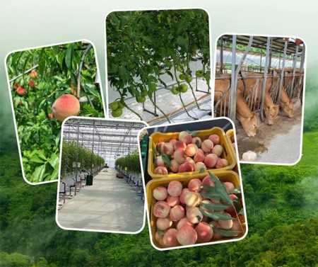 บริการ ประกาศ รับสมัครงานต่างประเทศด่วน จัดหางานต่างประเทศ งานสวนประเทศออสเตรเลีย รายได้ดีมาก งานสวนประเทศเกาหลีใต้