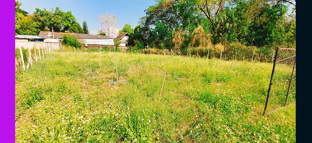 ขาย ประกาศ ติดซอยเข้าถึงง่าย ที่ดินเชียงใหม่ยินดีรับนายหน้าป่าแดด อยู่ในโซนที่มีความต้องการที่อยู่อาศัยสูง อพาร์ตเมนต์หรือทำโฮมออฟฟิศ เหมาะสำหรับสร้างบ้านสร้างบ้านเช่า