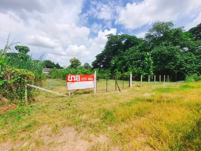 ที่ดิน ขาย ยินดีรับนายหน้า เหมาะสร้างบ้านอพาร์ตเมนต์หอพัก เหมาะสร้างบ้านเช่าทำออฟฟิศ บ้านป่าพร้าวนอกซอย6วงแหวนรอบ1 ใกล้ทั้งเมืองสนามบินและศูนย์การค้า