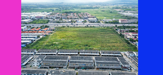 ขาย ที่ดิน ราคาถูกสุด เหมาะทำหมู่บ้าน ติดถนน344 ที่ดินชลบุรี30ไร่ ใกล้โลตัสบ้านบึง