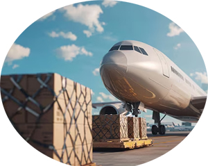 ประกาศ บริการ DHL,FedEx,UPS ผ่านศุลกากรเร็วขึ้น ชิปปิ้งมืออาชีพ เคลียร์สินค้านำเข้า สินค้าทางอากาศ